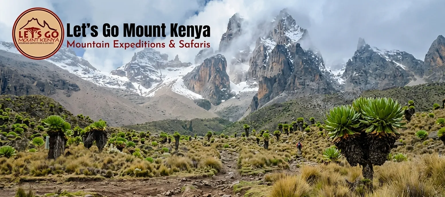 mount kenya safari